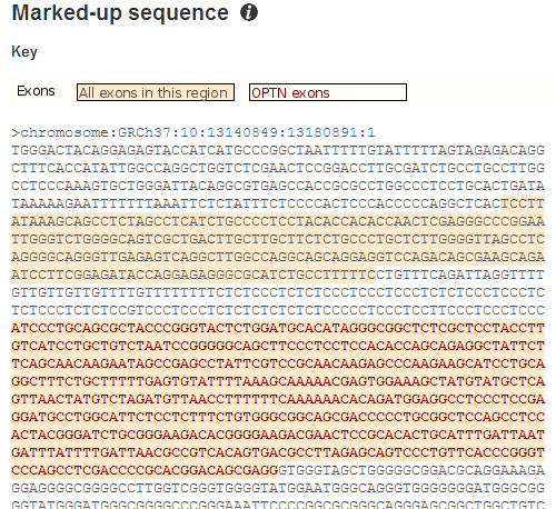 экзоны гена в ensembl.org