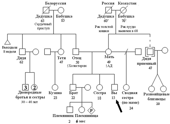 Как правильно нарисовать генеалогическое дерево для ДНК диасгностики.  Семейная история болезни
