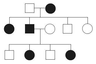 Схема X-сцепленный доминантный тип наследования 