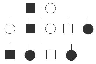 Схема аутосомно-доминантный тип наследования